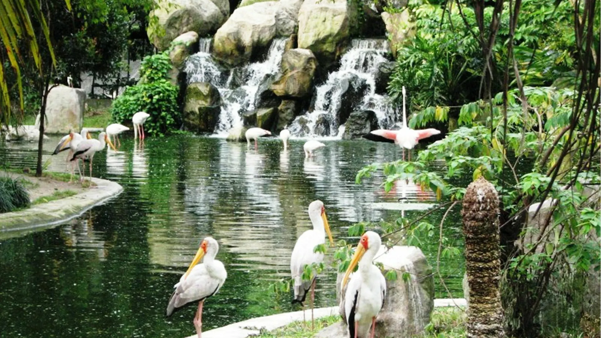 Hotel Caliber Kuala Lumpur